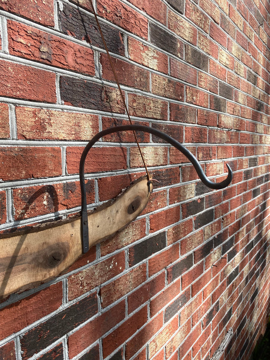 Hand forged plant hanger